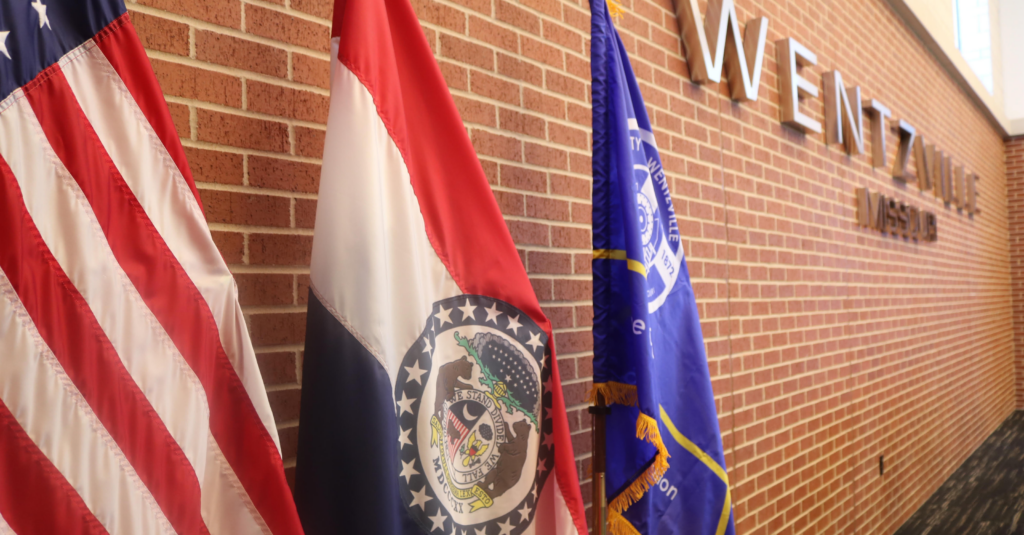 flags in city board chambers