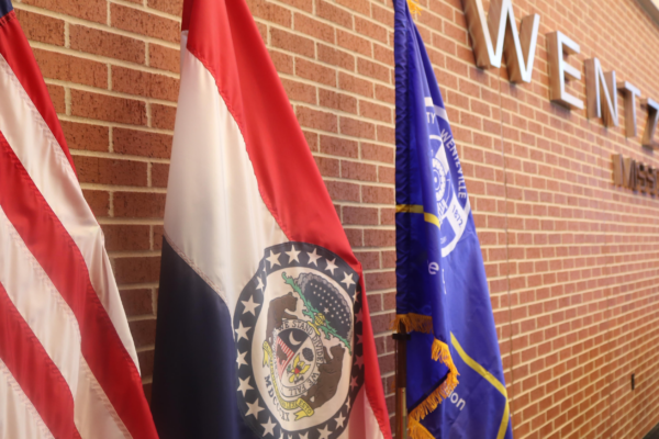 flags in city board chambers