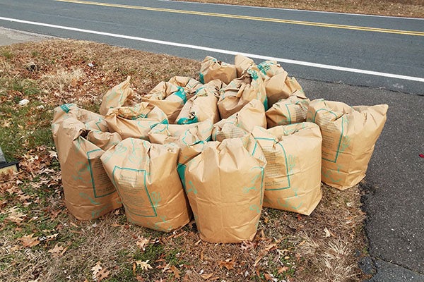 lawn debris and maintenance bags on curb near road or street