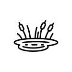 pond icon