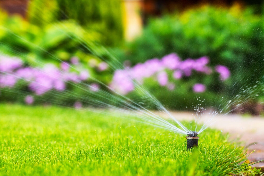 automatic sprinkler system watering the lawn on a background of green grass, close-up