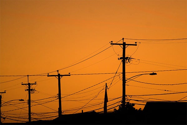 electricity poles