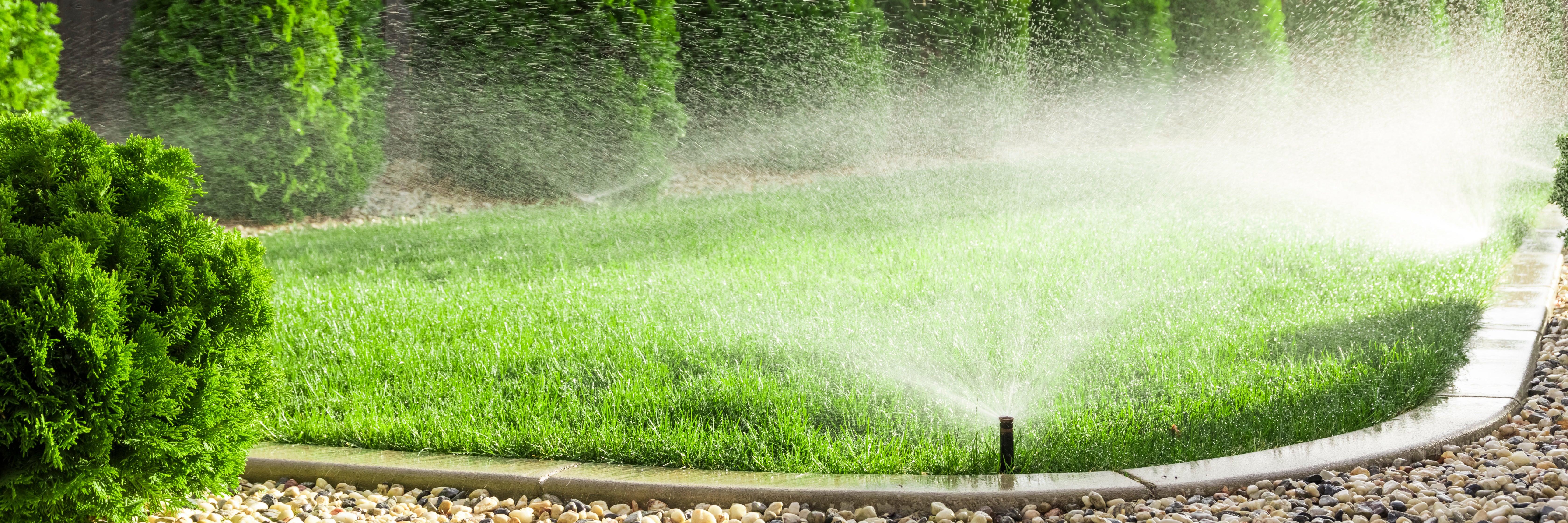 Split Irrigation Restarts on June 1